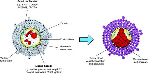Fig. 1. The mechanism of action of vascular targeting agent (VTA) approaches. VTAs exploit differences between tumor and normal tissue blood vessels, cause the selective and rapid occlusion of tumor vasculature, and lead to massive tumor cell necrosis. There are broadly two types of VTAs. The small molecules include combretastatin A-4 disodium phosphate (CA4P), ZD6126, AVE8062, and DMXAA. Ligand-based VTAs use antibodies, peptides, or growth factors to target tumor endothelial cells with agents that occlude blood vessels.