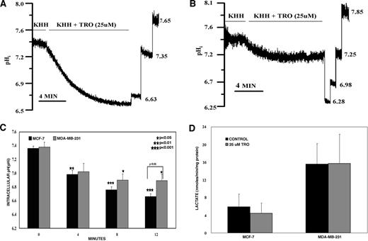 Fig. 1. Effects of TRO on pHi in MCF-7 and MDA-MB-231 cells. pHi was determined with the pH-sensitive fluorescent dye BCECF loaded into monolayers of MCF-7 (A) and MDA-MB-231 (B) cells. Representative tracing of spontaneous pHi was measured at 37°C in KHH media before and for 12 minutes after the addition of KHH media containing 25 μmol/L TRO. C, the fall in spontaneous pHi monitored over 12 minutes after the addition of TRO in MCF-7 (n = 4) and MDA-MB-231 cells (n = 7). *, P < 0.05; **, P < 0.01; ***, P < 0.001. Calibration of pHi was by the nigericin/high K+ technique in the presence of 25 μmol/L TRO. D, lactate production over the 12-minute time course shown in C.