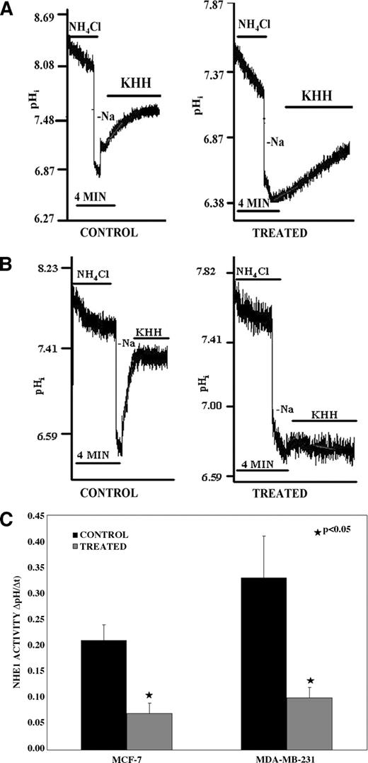 Fig. 3. NHE1 activity in chronic TRO-treated cells. A and B show representative assays of NHE activity in TRO-treated (A) MCF-7 and (B) MDA-MB-231 cells compared with time controls. NHE activity was assessed as the RR after NH4Cl pulse; minus sodium (choline) was used to ensure maximal acidification stimulus. C, assayable NHE activity as ΔpHi/Δt measured over the RR during recovery from the acid pulse from control and TRO-treated MCF-7 cells (n = 3) and MDA-MB-231 cells (n = 4).