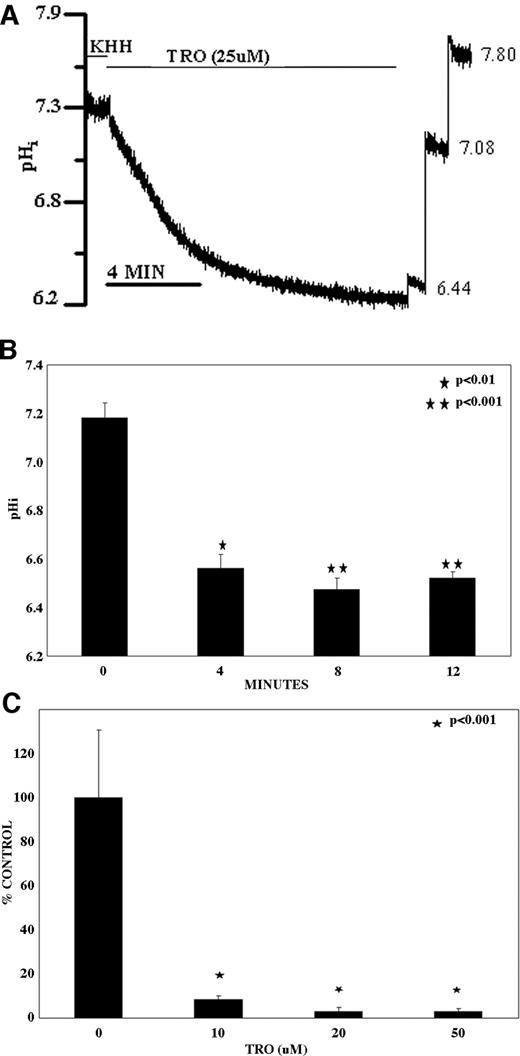 Fig. 6. TRO induces acidosis and reduces DNA synthesis in NIH3T3 cells (PPARγ−/−). A, representative steady-state pHi response in NIH3T3 cells to 25 μmol/L TRO. B, steady-state pHi response to 25 μmol/L TRO in NIH3T3 cells (PPARγ−/−) over the 12-minute time course (n = 4). C. TRO reduces DNA synthesis in NIH3T3 cells (PPARγ−/−); results are percentage of time controls (n = 4; P < 0.001).