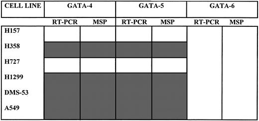 RT-PCR and MSP for lung cancer cell lines