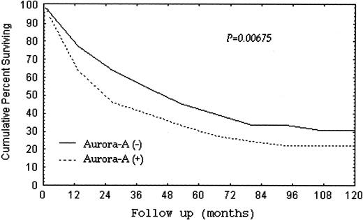 Fig. 4. Cumulative survival curve for 224 patients with primary unifocal hepatocellular carcinoma (HCC). HCC with Aurora-A mRNA overexpression, designated Aurora-A (+), had a significantly worse 10-year survival rate than HCC without Aurora-A mRNA overexpression, designated Aurora-A (−).