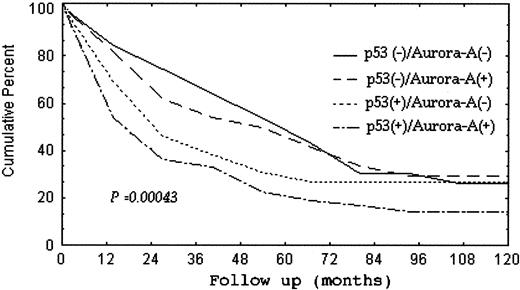 Fig. 5. Cumulative survival curve for 178 patients with primary unifocal hepatocellular carcinoma in relation to increased (+) or normal (−) expression of Aurora-A and the presence (+) or absence of p53 mutation. Hepatocellular carcinoma with Aurora-A overexpression and p53 mutation had the worst survival rate.