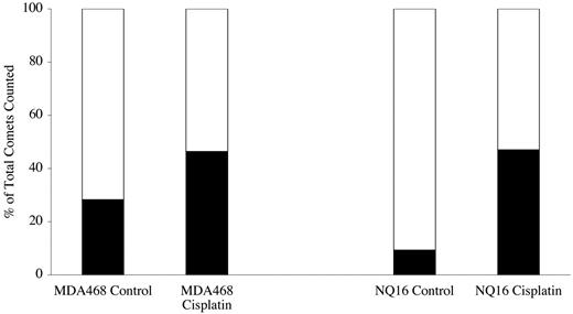 Fig. 2. Percentage of comets formed in each category (black bars, <25% DNA in the tail; white bars, >25% DNA in the tail) after treatment with cisplatin compared with controls. Both cisplatin-treated and control cells were irradiated with 10 Gy before processing for the comet analysis. Irradiation induces a given amount of strand breaks in both treated and control cells. Broken DNA can migrate into the tail of the comet. Cross-linked DNA will not migrate into the tail and is identified by an increase in the percentage of total comets counted with less than 25% DNA in the tail compared with controls. Two hundred comets were counted per experiment; two separate experiments were conducted.