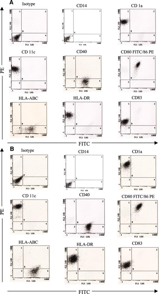 Fig. 1. Phenotype of mature dendritic cells (DCs). Flow cytometric analysis of (A) DCs matured with tumor necrosis factor α, and (B) DCs matured with tumor necrosis factor α and IFN-γ for expression of DC surface markers. We performed single staining for all markers except CD80/86, which were double stained (i.e., detected concomitantly). PE, phycoerythrin.