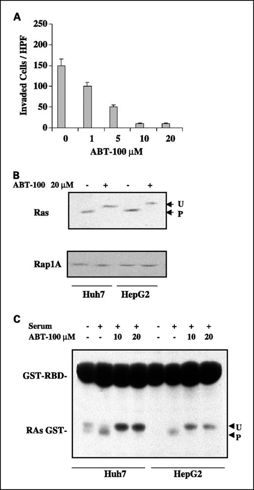 Fig. 2. Effects of ABT-100 on cell invasion and Ras activation. A, Huh7 were plated on 100 mm dishes and treated with different doses of ABT-100 or DMSO on days 1 and 2. On day 1, cell treatment with ABT-100 was done in DMEM with 10% FBS, whereas on day 2, cells were incubated with ABT-100 in DMEM without serum. Huh7 were placed in serum-free DMEM in the upper compartment of the Boyden chamber and tested for migration through a filter coated in the upper side with Matrigel. Cells that had migrated to the lower surface of the filter after 12 hours were stained and visually measured by cell counting. The values (number of cells that migrated per high-power field); columns, means; bars, ± SD, from six separate fields counted in three different experiments. B, to show the ability of ABT-100 to selectively inhibit protein farnesylation of HepG2 and Huh7 cells, we treated these cells with DMSO or ABT-100 (20 μmol/L) and the cell lysates were immunoblotted with antibodies against Ras and Rap1A. The pan-Ras antibody detected Ras protein in both cell lines. Treatment of HepG2 and Huh7 with ABT-100 resulted in inhibition of Ras processing as indicated by the shift of Ras band. In contrast, ABT-100 was unable to alter the electrophoretic mobility of Rap1A, a geranylgeranylated protein. U, unprocessed; P, processed. C, to evaluate the effect of ABT-100 on Ras activation we did a pull-down assay. The cells were pretreated with ABT-100, then serum-starved overnight, and finally stimulated with FBS 10% for 15 minutes. The binding of Ras-GTP with GST-Ras-binding domain (of c-Raf) was evaluated as described under Materials and Methods. Data are representative of three independent experiments. U, unprocessed; P, processed.