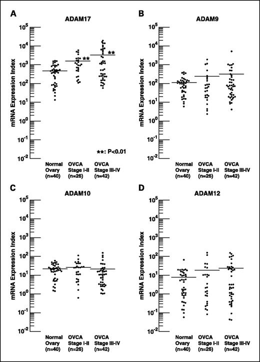 Fig. 2. Differences in expression of ADAM family members in normal ovaries and ovarian cancer. mRNA expression index of ADAM 17 (A), ADAM 9 (B), ADAM 10 (C), and ADAM 12 (D) in patients with normal ovaries, early ovarian cancer (stages I-II), and advanced ovarian cancer (stages III-IV). A line indicates the mean value of the mRNA expression index for each group. **, P < 0.01, versus patients with normal ovaries.