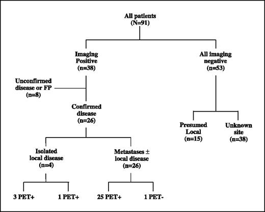 Fig. 1. Flowchart of patients according to imaging findings.
