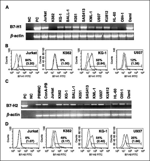 Expression of Functional B7-H2 and B7.2 Costimulatory Molecules and ...