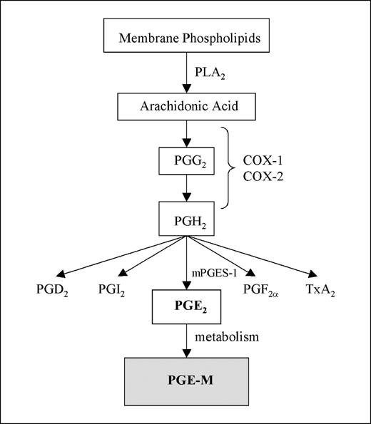 Levels of Prostaglandin E Metabolite, the Major Urinary Metabolite of ...