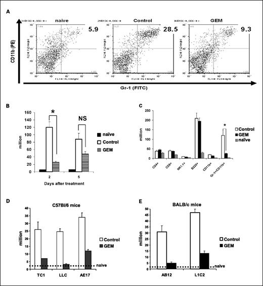 Fig. 1. Gemcitabine reduces Gr-1+/CD11b+ cells in the spleens of mice bearing large tumors. A, spleen cells were stained with FITC-conjugated anti–Gr-1 (RB6) and phycoerythrin-conjugated anti-CD11b antibodies. The percentage of double-positive Gr-1+/CD11b+ cells are shown for the spleen of a naïve animal (naïve), an animal bearing a large TC-1 tumor (Control), and a tumor-bearing animal that had been treated with gemcitabine (120 mg/kg) 48 hours previously (GEM). B, mice bearing large TC-1 tumors were injected i.p. with a single dose of 120 mg/kg of gemcitabine. Control mice received saline alone. Two and 5 days after treatment, spleen cells from control-treated, gemcitabine-treated, and naïve mice were counted, stained with FITC-conjugated anti–Gr-1 and phycoerythrin-conjugated CD11b antibody, and subjected to flow cytometry. Total number of Gr-1+/CD11b+ cells were calculated. *P < 0.01; not significant (NS), P = 0.12. Columns, mean number of Gr-1+/CD11b+ cells; bars, SE. C, mice bearing large TC-1 tumors were injected i.p. with a single dose of 120 mg/kg of gemcitabine. Control mice received saline alone. Two days after treatment, spleen cells from control-treated, gemcitabine-treated, and naïve mice were counted, subjected to flow cytometry, and the total number of each immune cell population was calculated. Columns, mean number of selected immune cells. *P < 0.01; bars, SE. D and E, mice bearing large TC-1, Lewis lung carcinoma, and AE17 (grown in C57Bl/6 mice) and AB12 and L1C2 (grown in BALB/c mice) tumors were injected i.p. with a single dose of 120 mg/kg of gemcitabine. Control mice received saline alone. Two days after treatment, spleen cells were counted, subjected to flow cytometry, and the total number of Gr-1+/CD11b+ cells was calculated. Dotted lines, average number of Gr-1+/CD11b+ cells in the spleen of naïve animals. Columns, mean number of Gr-1+/CD11b+ cells; bars, SE. Decreases were statistically significant (P < 0.01) for all groups.
