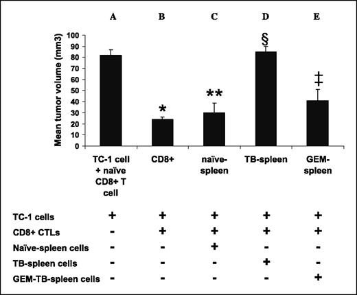 Fig. 4. Gemcitabine treatment reduces the immunosuppressive activity of spleen cells from tumor-bearing animals on CD8+ CTL activity. Winn assays were used to quantify the inhibitory effects of splenocytes from tumor-bearing mice on endogenous CD8+ T cell activity. TC-1 tumor cells were mixed with CD8+ T cells isolated from the spleens of animals bearing small TC-1 tumors at a ratio of one tumor cell to three T cells. The mixture was injected into the flanks of naïve mice. Tumor cells mixed with CD8+ cells from nontumor-bearing animals (column A) showed brisk growth (at the same rate as tumor cells alone; data not shown). In contrast, tumor cells mixed with CD8+ cells from animals bearing small tumors (column B) were significantly inhibited in their growth after 6 days (column A versus column B, *P < 0.05). To determine the suppressive effects of Gr-1+/CD11b+ cells on CD8+ CTL activity, TC-1 cells were mixed with active CD8+ CTLs (as above), but spleen cells from naïve mice (column C), spleen cells from mice bearing large tumors (column D), or spleen cells from mice bearing large tumors that had been treated 48 hours previously with gemcitabine (column E) were also added at a ratio of one tumor cell to three CD8+ T cells to 18 splenocytes. After injection of the cell mixture into the flanks of naïve animals, tumor size was assessed after 6 days. Addition of naïve spleen cells to TC-1 tumor cells and CTLs still resulted in significant tumor inhibition (column A versus column C, **P < 0.05) and, importantly, was not significantly different than the inhibition caused by CD8+ T cells alone (compare column B versus column C). However, if the same number of splenocytes from animals bearing large tumors were mixed with the CD8+ T cells, all growth inhibitory effects of the CTLs were lost (compare column C versus column D, §P < 0.05) and the tumor cells grew at the same rate as TC-1 cells implanted alone (column A versus column D). If splenocytes from the gemcitabine-treated animals bearing large tumors were added to the tumor cells and CTL, significant inhibitory activity was present (column A versus column E, ‡P < 0.05).