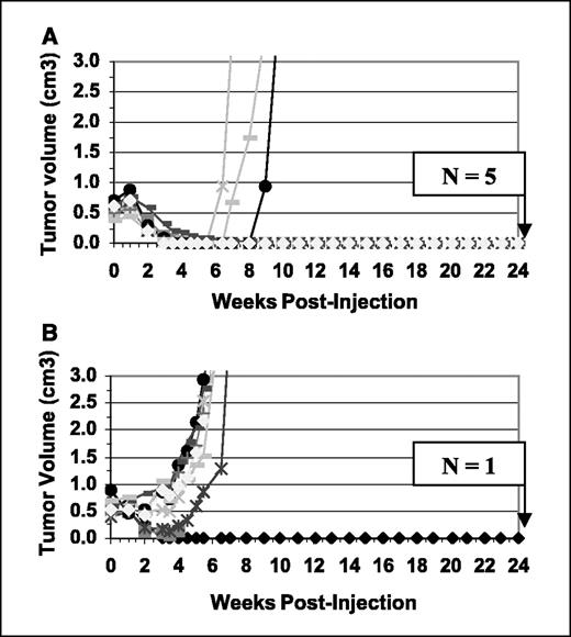 Fig. 8. Growth curves of s.c. Ramos human B-cell lymphoma xenografts in BALB/c nude mice (∼18 g body weight) after treatment with either 0.8 mCi 90Y-DOTA-peptide-di-HSG hapten given 48 hours after an anti-CD20 F(ab′) × anti-HSG F(ab′) bispecific mAb (A) or 0.175 mCi 90Y-anti-CD20 IgG (B). Ten animals were in each treatment group. A separate group of untreated animals or animals given 0.8 mCi 90Y-DOTA-peptide-di-HSG hapten was included as controls, but their tumors progressed within 2 to 3 weeks of the onset of the study (data not shown). Body weights and tumor size were measured weekly for a period of 6 months. At the end of the study, only one animal remained tumor-free in the 90Y-anti-CD20 IgG group, whereas there were five tumor-free animals in the pretargeted-treated group.