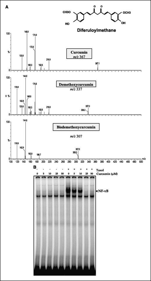 Fig. 1. A, structure and mass spectrophotometric analysis of curcumin. B, curcumin inhibited paclitaxel-dependent NF-κB activation. MDA-MB-435 cells (2 × 106/mL) were preincubated with different concentrations of curcumin for 2 hours at 37°C and then treated with 50 μmol/L paclitaxel for 16 hours. Nuclear extracts were prepared and tested for NF-κB activation as described in Materials and Methods.