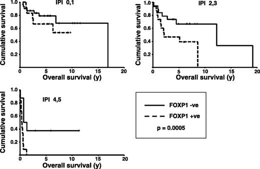 Fig. 6. Overall survival within each IPI subgroup for FOXP1-positive versus FOXP1-negative expression. Kaplan-Meier overall survival curves showing the impact of FOXP1 protein expression on poor survival within each of the three IPI subgroups. P = 0.0005 for trend across all three IPI subgroups.