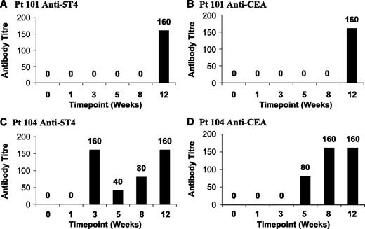 Fig. 4. Measurement of 5T4 and CEA specific antibody responses. h5T4 (A and C) and CEA (B and D) specific antibody responses measured in patients 101 (A and B) and 104 (C and D). Results are illustrated as antibody titer [defined as the greatest serum dilution at which the absorbance is >3 × SD of the preinjection (0-week) sample] throughout the 12-week clinical follow-up period.