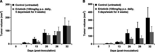 Fig. 3. Effects of erlotinib on CDDP-sensitive and CDDP-resistant ME180 xenografts in athymic mice. Parental ME180 (A) and AE-ME180/CDDP (B) cells were implanted s.c. in the flanks of athymic mice, and after tumors became palpable (2-4 mm diameter, day 6 post-implantation), mice in treatment group (gray bars) were given 100 mg/kg erlotinib orally daily for 5 consecutive days (Monday-Friday) for 4 weeks. Five mice were randomized to each group before tumor implantation. Data represent mean tumor volumes (±SD).