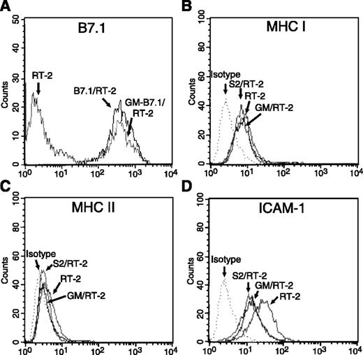 Fig. 1. Analysis of surface markers on RT-2 cells by FACScan. Expression of B7.1 (A), MHC classes I (B) and II (C), and intercellular adhesion molecule-1 (ICAM-1; D) on RT-2, S2/RT-2, GM/RT-2, or GM-B7.1/RT-2 cells was studied by fluorescence-activated cell sorting analysis.