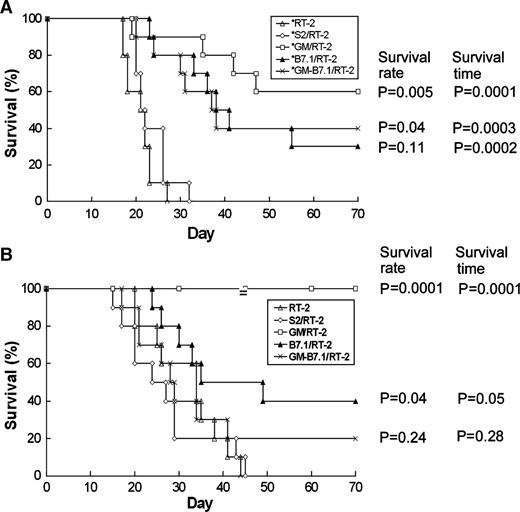 Fig. 3. Survival curves of brain tumor-bearing rats treated with irradiated or live tumor vaccine. A, irradiated vaccine treatment. Rats were implanted with 5 × 103 wild-type RT-2 cells at the right caudate putamen and then treated with 1 × 106 irradiated tumor vaccine (*RT-2, *S2/RT-2, *GM/RT-2, *B7.1/RT-2, or *GM-B7.1/RT-2) on days 0 and 3 after tumor cell inoculation. Fisher's exact test was used to analyze differences of survival rates, whereas Kaplan-Meier method was used to assess animal survival time; log-rank statistic was used to analyze differences between experimental groups (*GM/RT-2, *B7.1/RT-2, or *GM-B7.1/RT-2) and the control groups (*RT-2, *S2/RT-2). There are no significant differences among the three experimental groups (P > 0.18). B, live vaccine treatment. Rats bearing wild-type RT-2 cells at the right caudate putamen were treated with 1 × 106 live tumor vaccine (RT-2, S2/RT-2, GM/RT-2, B7.1/RT-2, or GM-B7.1/RT-2) immediately after tumor cell inoculation. Although GM/RT-2- and B7.1/RT-2-treated groups had significantly higher survival rates and longer survival time than control groups, the GM-B7.1/RT-2 group did not show a difference compared with the control groups. The GM/RT-2 group has significantly higher survival rate (P = 0.005 and 0.0003, respectively) and longer survival time (P = 0.004 and 0.0002, respectively) than the B7.1/RT-2 or GM-B7.1/RT-2 group.