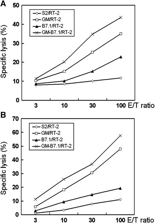 Fig. 4. CTL activity assay. Rats were s.c. treated with 1 × 106 S2/RT-2, B7.1/RT-2, GM/RT-2, or GM-B7.1/RT-2 tumor vaccine, and CTL activity in lymph nodes isolated on day 4 (A) or spleens isolated on day 21 (B) was analyzed in vitro by 51Cr release assay. Labeled RT-2 cells were used as targets, and CTL assays were conducted at the effector/target (E/T) ratios indicated. Three independent experiments were done for each group and representative data are presented.