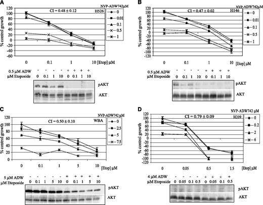 Fig. 1. Sensitivity to etoposide is synergistically enhanced at NVP-ADW742 concentrations that suppress Akt activity. MTT assays were performed over 72 hours with SCLC cell lines H526 (A), H146 (B), WBA (C), and H209 (D) in complete medium and increasing concentrations of NVP-ADW742 and etoposide (Etop). Data is displayed as a percentage of control growth, with a negative value indicating net cytotoxicity. The CI, as calculated using the Chou-Talalay equation, is displayed within each graph. For each cell line, a representative Western blot is illustrated documenting the proportion of Akt reactive with anti-pAkt (Ser473) at NVP-ADW742 concentrations that resulted in maximal synergy. Data from at least three individual experiments; points, mean of eight replicate wells; bars, ±SE.