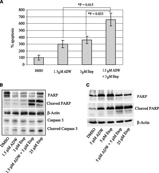 Fig. 3. Apoptosis in the presence of low concentrations of etoposide is enhanced by NVP-ADW742. H526 cells were incubated in complete medium in the presence of the indicated concentrations of NVP-ADW742 (ADW) and etoposide (Etop) for 24 hours. A, apoptosis was assessed by TUNEL staining of a minimum of 500 cells per data point; columns, mean of triplicate experiments; bars, ±SE; B, Western blot indicating apoptotic cleavage of caspase 3 and its substrate PARP. As a positive control for cleavage, cells were also treated with 25 μmol/L etoposide; C, WBA cells in complete medium were treated as above and a Western blot was performed to assess PARP cleavage. Higher concentrations of both NVP-ADW742 and etoposide were used because of the resistance of this cell line to both drugs.