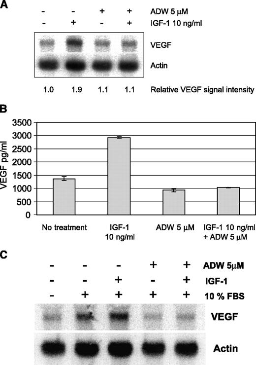 Fig. 5. NVP-ADW742 suppresses IGF-I and serum-mediated VEGF expression. H526 cells were quiesced overnight and exposed to IGF-I in serum-free medium in the absence or presence of NVP-ADW742 for 24 hours. VEGF mRNA expression was assessed by Northern blotting (A) and the quantity of VEGF secreted into the medium was assessed by ELISA (B). Following serum deprivation, H526 cells were also exposed to 10% FBS with and without IGF-I supplementation and the ability of NVP-ADW742 to inhibit VEGF expression was assessed by Northern blotting (C). Data are representative of duplicate experiments; ELISA data represent means of duplicate determinations (±SE).