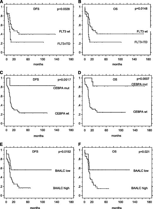 Fig. 2. DFS (A, C, and E) and OS (B, D, andF) in normal-karyotype AML patients according to the FLT3-ITD status (A-B), the CEBPA mutation status (C-D), and the BAALC expression (E-F).