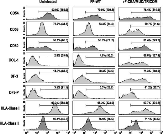 Fig. 3. Flow cytometric analysis of surface marker expression on human DCs uninfected, infected with control vector (FP-WT), or infected with rF-CEA/MUC/TRICOM. DCs (1 × 106) were incubated in 1 mL of Opti-MEM medium at 37°C with rF-CEA/MUC/TRICOM or control vector (FP-WT) for 2 hours at an MOI of 40:1. The infected DCs were suspended in 10 mL of fresh, warm complete medium containing 100 ng/mL of rhGM-CSF and 20 ng/mL of rhIL-4 and then cultured for 24 hours. Numbers in each histogram indicate the percentage of positive cells and the mean fluorescence intensity (in parentheses).