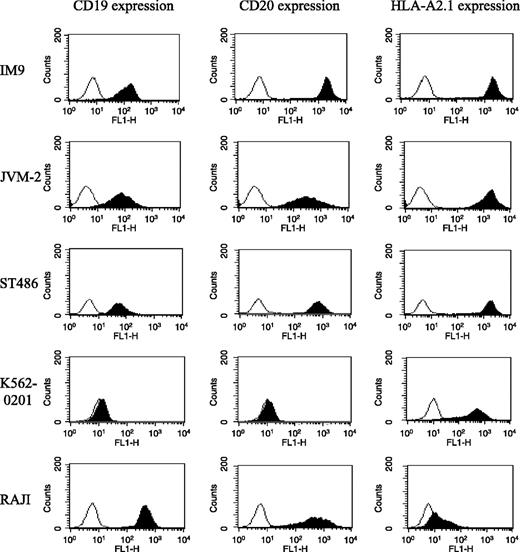 Fig. 1. Phenotype of malignant B cell lines. Malignant B cell lines were analyzed for CD19, CD20, or HLA-A2.1 antigen expression by flow cytometry. The results show that the IM9, JVM-2, and ST486 cell lines were CD19+/CD20+/HLA-A2.1+, making them useful as target cells in evaluating the CD19-CTLs and CD20-CTLs.