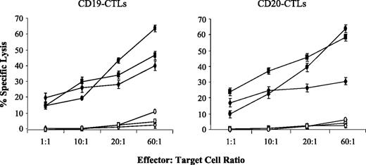 Fig. 2. HLA-A2.1-restricted and antigen-specific cytotoxicity of the CD19-CTLs or CD20-CTLs. CTLs were generated by repeated stimulation of normal donor HLA-A2.1+ T lymphocytes with autologous mDCs pulsed with either CD19150-158 (KLMSPKLYV) or CD20188-196 (SLFLGILSV) peptide. The data displays standard 51Cr-release cytotoxicity assay results done one week after the third stimulation. Both the CD19-CTLs and CD20 CTLs displayed significant cytotoxic activity against the CD19+/CD20+/HLA-A2.1+ JVM-2 (•), IM9 (▪), or ST486 (♦) cell lines, but not the CD19-/CD20-/HLA-A2.1+ K562-A0201 (□), CD19+/CD20+/HLA-A2.1- Raji (◊), or natural killer–sensitive K562 (○) cell lines. Points, mean specific lysis from three experiments; bars, ±SE.