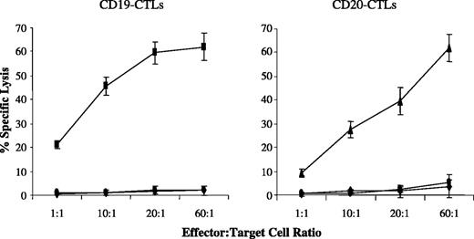 Fig. 3. Peptide-specific cytotoxicity of CD19-CTLs or CD20-CTLs. CTLs were tested 1 week after the third stimulation of normal HLA-A2.1+ T lymphocytes with mDCs pulsed with either HLA-A2.1-specific CD19150-158 (KLMSPKLYV) or CD20188-196 (SLFLGILSV) peptide. CD19- or CD20-CTL cytotoxic activity was measured in a standard 51Cr-release assay against CD19 peptide (▪), CD20 peptide (▴), irrelevant HLA-A2.1-binding MAGE-3 peptide (•) or no peptide (♦) pulsed T2 target cells. The cytotoxicity of the CD19-CTLs and CD20-CTLs is peptide-specific against T2 cells presenting the appropriate CD19 or CD20 peptide. No cytotoxic activity was observed against T2 cell presenting the irrelevant MAGE-3 peptide or T2 cells alone. Points, mean % specific lysis from three experiments; bars, ±SE.