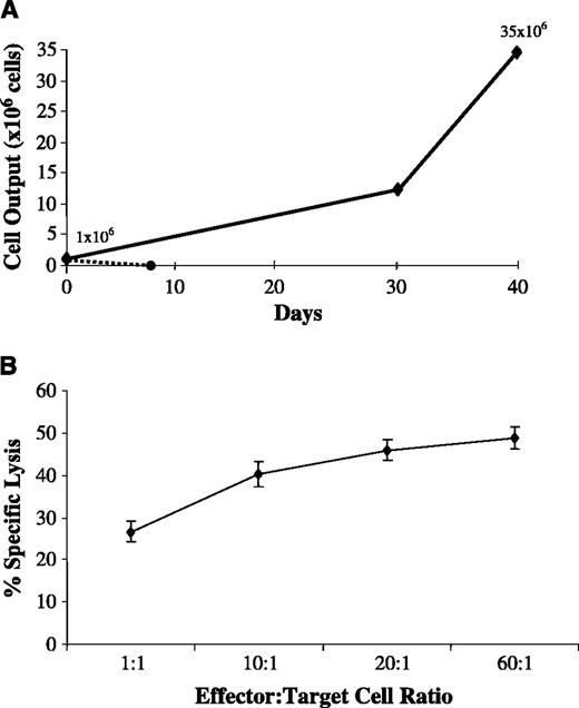 Fig. 6. Expansion and cytotoxic activity of CD20-CTLs grown under cGMP conditions. A, level of CD20-CTLs expansion was evaluated in the presence (♦) or absence (•) of Dynal CD3/CD28 microbeads. The CTLs were expanded for total 40 days in AIM-V medium containing 10% human AB serum and 50 units/mL rIL-2. The CD20-CTLs cultured with the CD3/CD28 microbeads showed continuous cell expansion. B, expanded CD20-CTLs were evaluated for their antigen-specific cytotoxicity. The CTLs maintained their cytotoxicity against the CD19+/CD20+/HLA-A2.1+ ST486 cell line.