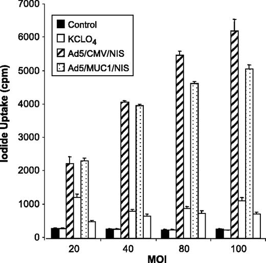 Fig. 1. Iodide uptake in T47D cells 72 hours after infection with Ad/MUC1/NIS at varying multiplicity of infection (MOI). At a MOI of 80, there was an 18-fold increase in iodide uptake in infected cells compared with control. Ad/CMV/NIS was included as a positive control. Iodide uptake was blocked in the presence of KClO4, a known inhibitor of NIS function.