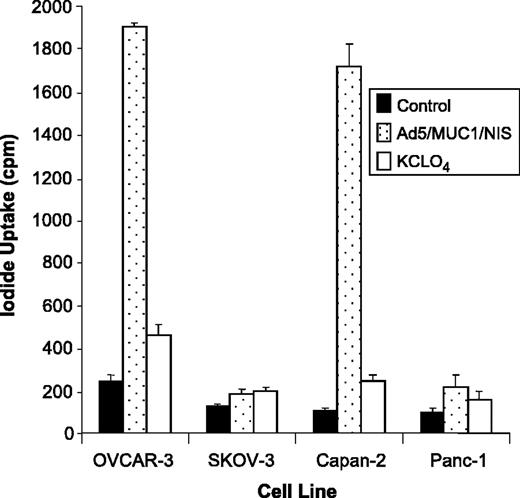Fig. 2. Iodide uptake in tumor cells with varying MUC1 expression levels after infection with Ad5/MUC1/NIS. Ovarian: OVCAR-3 (MUC+); SK-OV-3 (MUC−). Pancreatic carcinoma: Capan-2 (MUC+); Panc-1 (MUC −) Infection of the MUC1-positive cells resulted in an 8-15-fold increase in iodide uptake over control cells, whereas the MUC1-negative cells showed no ability to concentrate iodide. In all cases, iodide uptake could be blocked by inclusion of KClO4, a known inhibitor of NIS function, in the incubation medium.