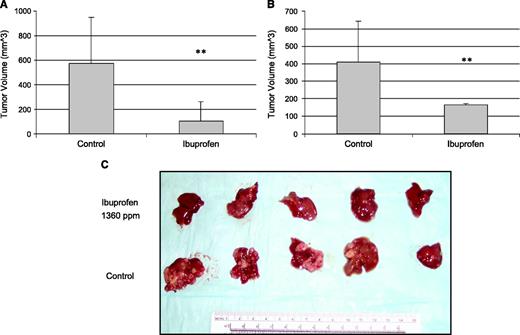 Fig. 5. Effects of ibuprofen on tumor growth in vivo and liver metastasis. The inhibitory effect of ibuprofen on tumor growth was determined in two colorectal cancer models using MC-26 cells (A) and HT-29 cells (B). The extent of liver metastasis was then recorded (C). *, P < 0.05; **, P < 0.01.