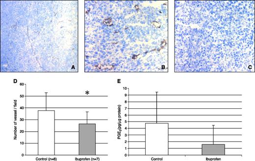 Fig. 6. Effect of ibuprofen on the angiogenesis in vivo. Mice bearing MC-26 tumor were sacrificed and tumor harvested on day 21. Frozen sections were made and microvessels were stained with anti-mouse CD31 monocolonal antibodies using the avidin-biotin peroxide complex method. Angiogenesis was determined by microscopic counting of the CD31 stained microvessels with 100× (A) and 400× (B) objectives. The same staining procedure was done without addition of primary antibody as a negative control (C). Data were analyzed using the one-tail t test (D). PGE2 was detected in tumor tissues using enzyme immunoassay (E). *, P = 0.059.