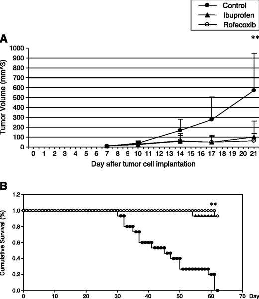 Fig. 8. Effect of ibuprofen in combination with rofecoxib on survival of mouse colorectal tumor model. Mice were randomly divided into three groups: control, ibuprofen, and rofecoxib. Tumor growth was expressed as tumor volume (A). The survival study was terminated when all mice in control group had died (B). *, P < 0.05; **, P < 0.01.