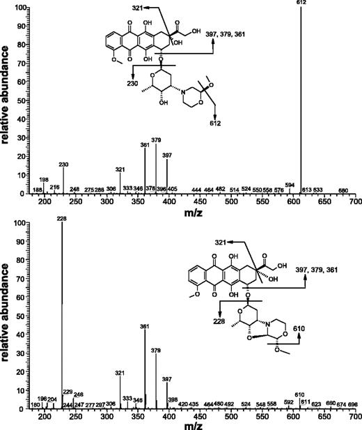 Fig. 2. Tandem mass spectra collected from the peaks of MMDX (top) and PNU-159682 (bottom). Inset, proposed fragmentation.