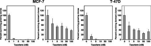 Fig. 1. Taxotere eradicates growing but not dormant breast cancer cell clones. A total of 2,000 MCF-7 cells per well or 1,000 T-47D cells per well were incubated on fibronectin-coated 24-well plates without (growing clones) or with (dormant clones) 10 ng/mL FGF-2 (day 0). The medium and FGF-2 were changed and Taxotere was added on day 3. Cells were fixed and stained on day 6 and growing and dormant clones were counted as described in Materials and Methods. The data were normalized to the untreated controls. Bars, SD.