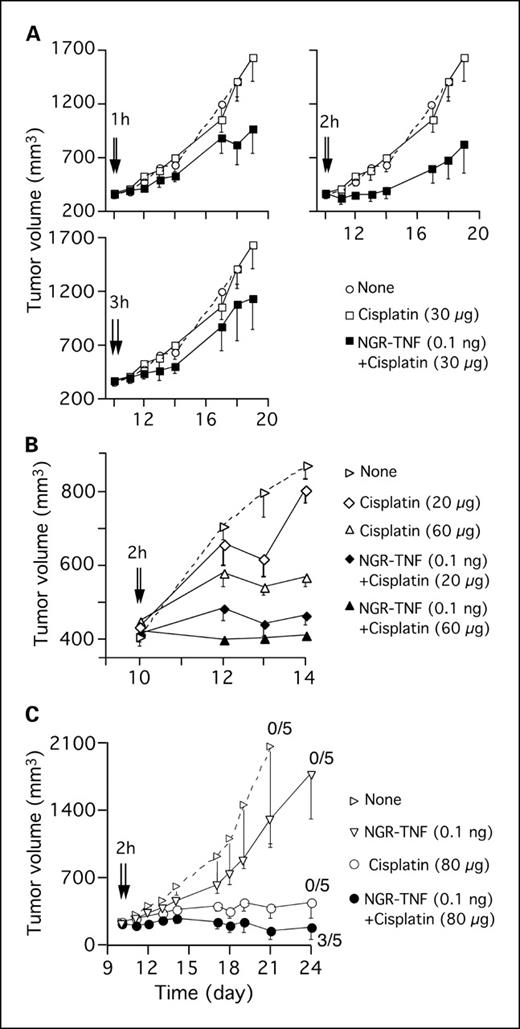 Fig. 1. Effect of NGR-TNF in combination with cisplatin on RMA lymphoma growth in vivo. Animals bearing RMA tumors (five mice per group) were treated i.p. with NGR-TNF in combination with cisplatin at day 10 after tumor implantation. Tumor volumes after treatment are shown for three separate experiments (A-C). The schedule of treatments (timing and doses) is indicated. NGR-TNF was given 1, 2, or 3 hours before cisplatin (arrows). A, right, ▪ versus □ at day 18 (P < 0.01). B, ⧫ versus ◊ at day 14 (P < 0.01); ▴ versus ▵ at day 14 (P < 0.0001). C, numbers, tumor-free mice at day 30.