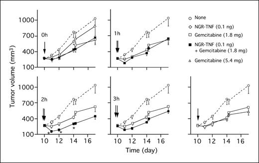 Fig. 2. Effect of different administration schedules of NGR-TNF in combination with gemcitabine on RMA tumors. Tumor-bearing mice (five mice per group) were treated with NGR-TNF in combination with gemcitabine at day 10 after tumor implantation. NGR-TNF and gemcitabine were given with 0, 1, 2, or 3 hours intervals at the indicated doses. ▪ versus □. *, P < 0.05.