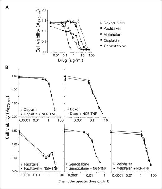 Fig. 5. In vitro cytotoxic activity of different chemotherapeutic drugs alone and in combination with NGR-TNF. RMA cells were treated for 48 hours with various doses of doxorubicin (Doxo), paclitaxel, melphalan, cisplatin, and gemcitabine (A). In another experiment, cells were pretreated for 2 hours with NGR-TNF (1 ng/mL) and then with various doses of chemotherapeutic drugs for 48 hours (B). Points, mean of four wells; bars, SD.