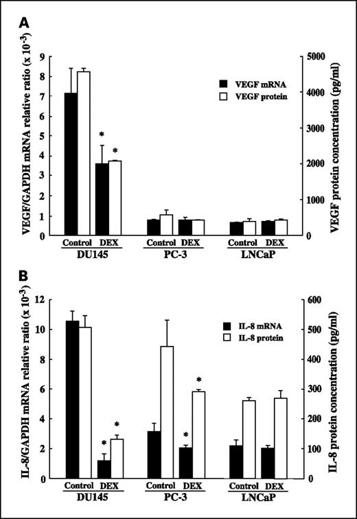 Fig. 2. Effects of dexamethasone on VEGF and IL-8 mRNA expression and protein production in three human prostate cancer cell lines, DU145, PC-3, and LNCaP. Cells were treated with 100 nmol/L dexamethasone (DEX) for 12 hours for mRNA expression analysis and for 24 hours for protein production analysis. mRNA and protein were quantified by real-time quantitative RT-PCR and ELISA, respectively. A and B, quantification of VEGF and IL-8 expression in the prostate cancer cell lines, respectively. Columns, mean of three independent experiments; bars, 95% CI. *, P < 0.01, versus the control group.