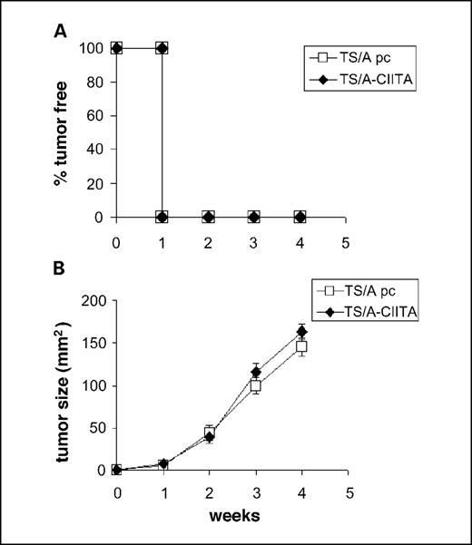 Fig. 5. GKO mice do not reject TS/A-CIITA tumor cells. GKO syngeneic mice were injected with either TS/A-pc or TS/A-CIITA 32.10.7 (TS/A-CIITA) tumor cells (eight mice per group). A, percentage of tumor-free mice at different time intervals after s.c. challenge. One hundred percent of mice injected with either TS/A-pc or TS/A-CIITA developed palpable tumors within 1 week. B, both TS/A-pc and TS/A-CIITA tumors displayed the same growth kinetics. Points, average size of tumor mass of developing tumors; bars, SD.