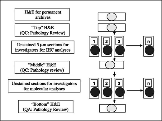 Fig. 1. PCO quality control schema.
