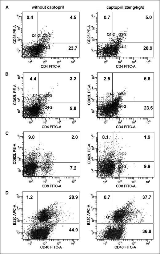 Fig. 5. Flow cytometry analysis of lymphocytes infiltrating s.c. MethA tumors in control and captopril-treated mice. There were no significant differences between both control and captopril-treated mice in CD4+CD25+ T cells (A), CD4+CD62L T cells (B), and CD8+CD62L T cells (C). However, in the captopril-treated mice, MethA tumors contained a significantly larger population of active CD40+B220+ B cells (30%) compared with control animals (D).