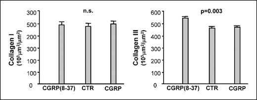 Fig. 3. CGRP modulation: influence on collagen deposition in irradiated intestine. Deposition of collagen types I and III, measured by quantitative immunohistochemistry, in irradiated small intestine 2 weeks after irradiation (17 Gy single dose).