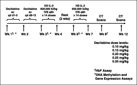 Fig. 1. Dosing schedule for 12-week cycle of low-dose decitabine plus high-dose bolus interleukin-2. Wk, week; HD IL-2, high-dose interleukin-2.