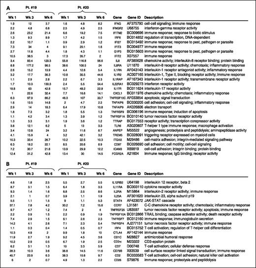 Fig. 3. Modulation of gene expression by decitabine/IL-2 in PBMCs from two patients treated at the 0.2 mg/kg decitabine dose level. Shown are immunomodulatory genes up-regulated (A) or down-regulated (B) >2-fold following 2 weeks of decitabine in patient nos. 19 and 20. Numbers are ratios of RNA expression in patient PBMC to reference RNA expression. Wk 1, pretreatment; Wk 3, 3 days after the 2-week course of decitabine; Wk 6, just before start of second week of high-dose IL-2 (3 weeks after the 2-week course of decitabine).